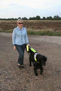 Martine and Gable (by S. Clarke)